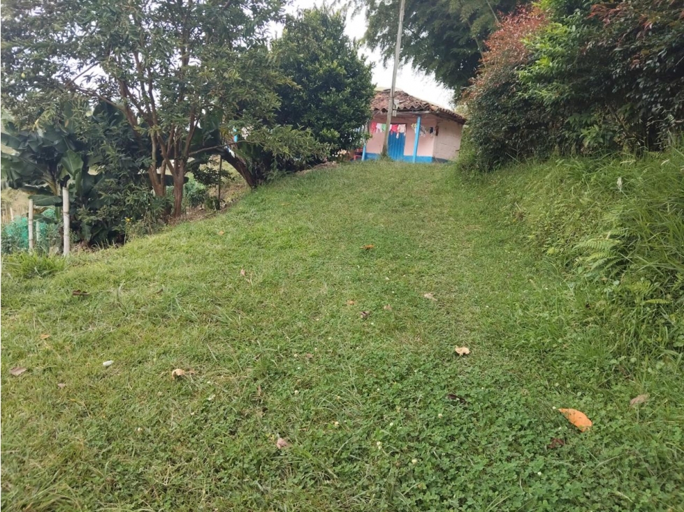 LINDA FINCA CAMPESINA EN VENTA MARINILLA — foto 2