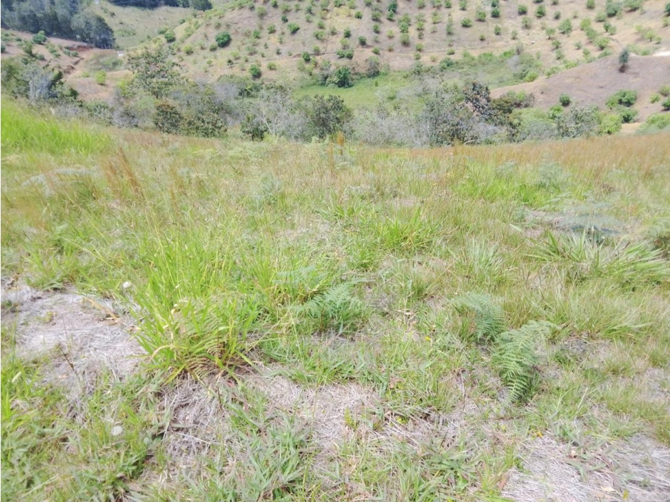 ENCANTADOR LOTE EN VENTA PARA PROYECTO DE SUBDIVISIÓN SAN VICENTE — foto 3