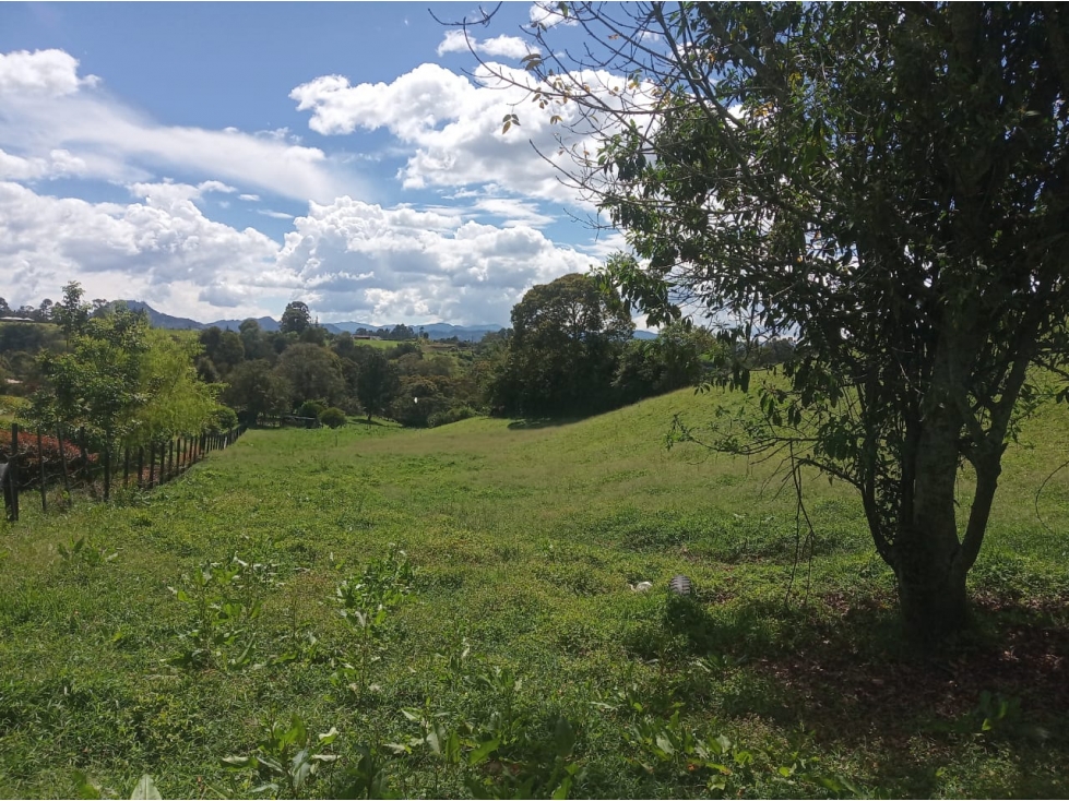 OPORTUNIDAD!!! HERMOSOS LOTES EN VENTA EN EL CARMEN DE VIBORAL — foto 4