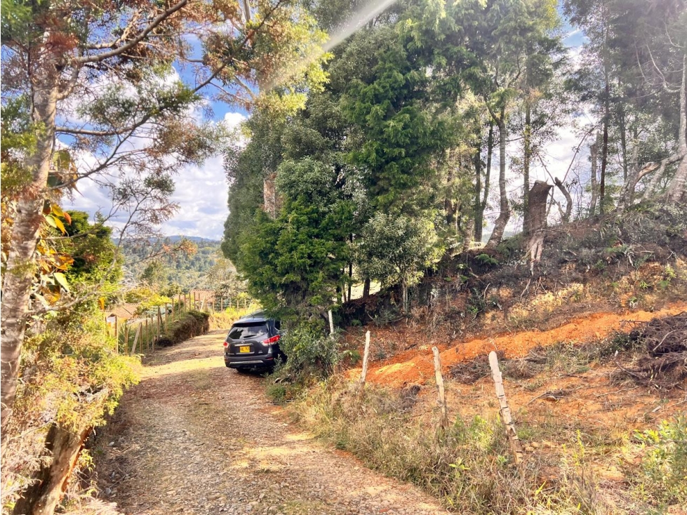 LINDOS LOTES EN VENTA EN LA VEREDA SAN ISIDRO DE GUARNE — foto 6