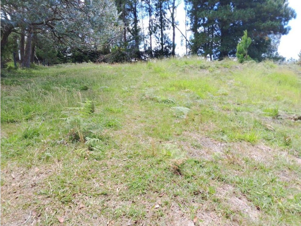 ENCANTADOR LOTE EN VENTA PARA PROYECTO DE SUBDIVISIÓN SAN VICENTE — foto 2