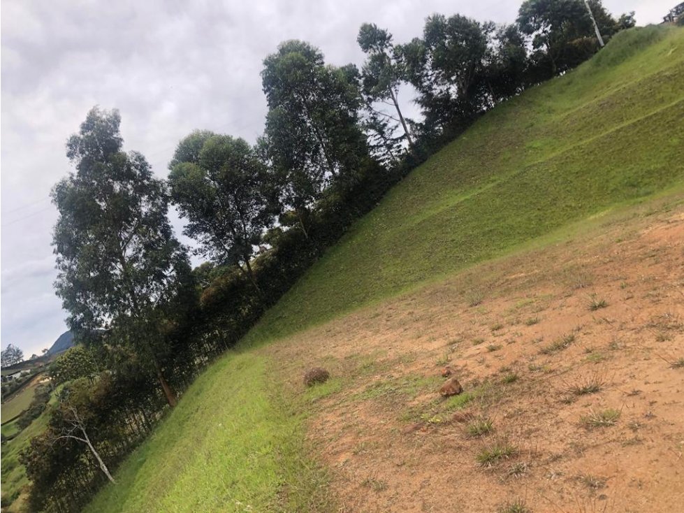 EN VENTA LOTE CON LINDA VISTA EN LA VEREDA SAMARIA - CARMEN VIBORAL — foto 4