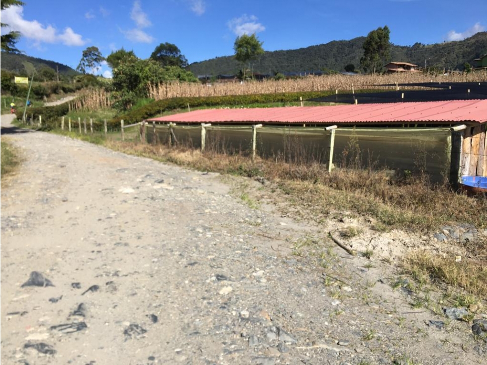 LINDO LOTE SOBRE VIA EN LA VEREDA LA CHAHPA DEL CARMEN DE VIBORAL ANT.