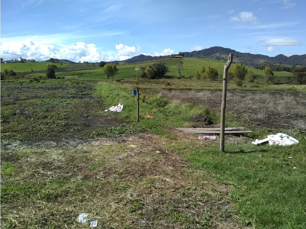 LINDO LOTE EN VENTA 100% PLANO EN LA VEREDA LA MADERA DEL CARMEN VIB. — foto 3