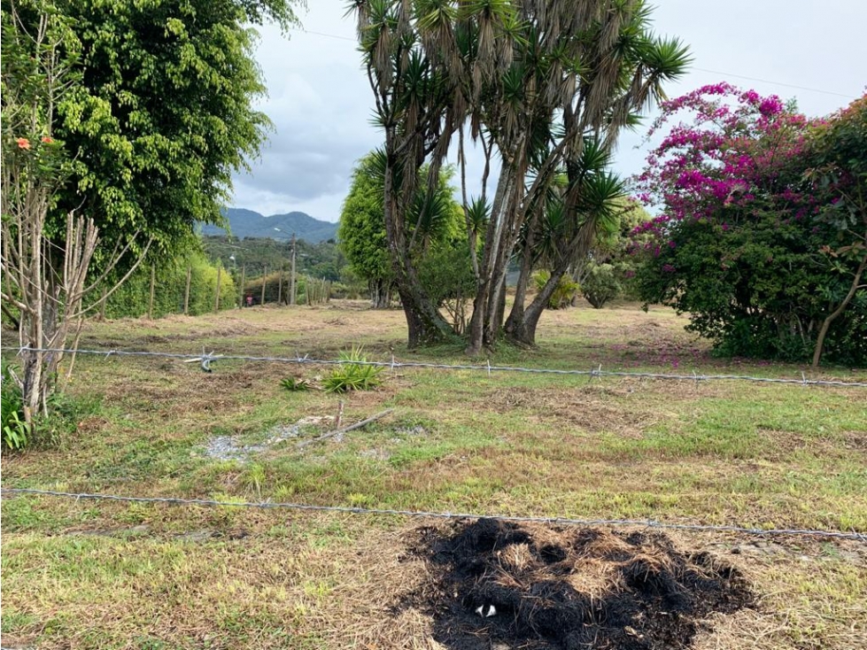 HERMOSO LOTE EN VENTA EN LA VEREDA OJO DE AGUA EL CARMEN DEE VIBORAL — foto 2