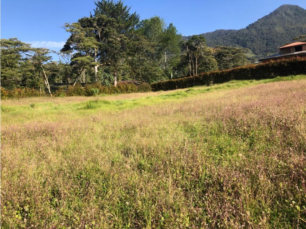 HERMOSO LOTE EN VENTA SECTOR CANADA EL CARMEN DE VIBORAL. Oportunidad.