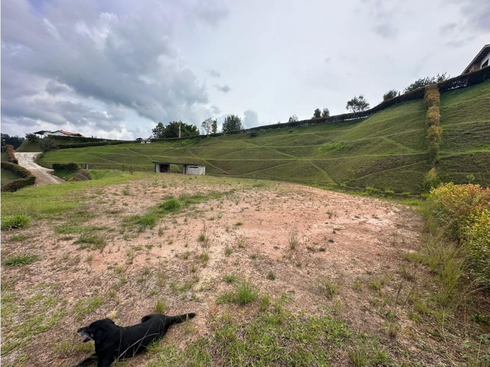 LINDO LOTE EN VENTA CON EMBALSE EL PEÑOL - 3