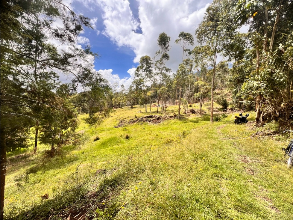 HERMOSO LOTE EN VENTA LA CEJA ANTIOQUIA