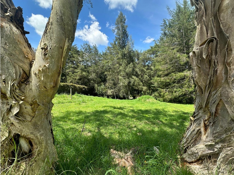 ESPECTACULAR LOTE EN VENTA VÍA LLANOGRANDE DON DIEGO INDEPENDIENTE