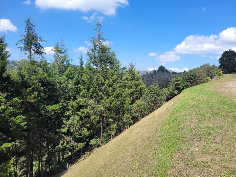 ENCANTADOR LOTE EN VENTA GUARNE