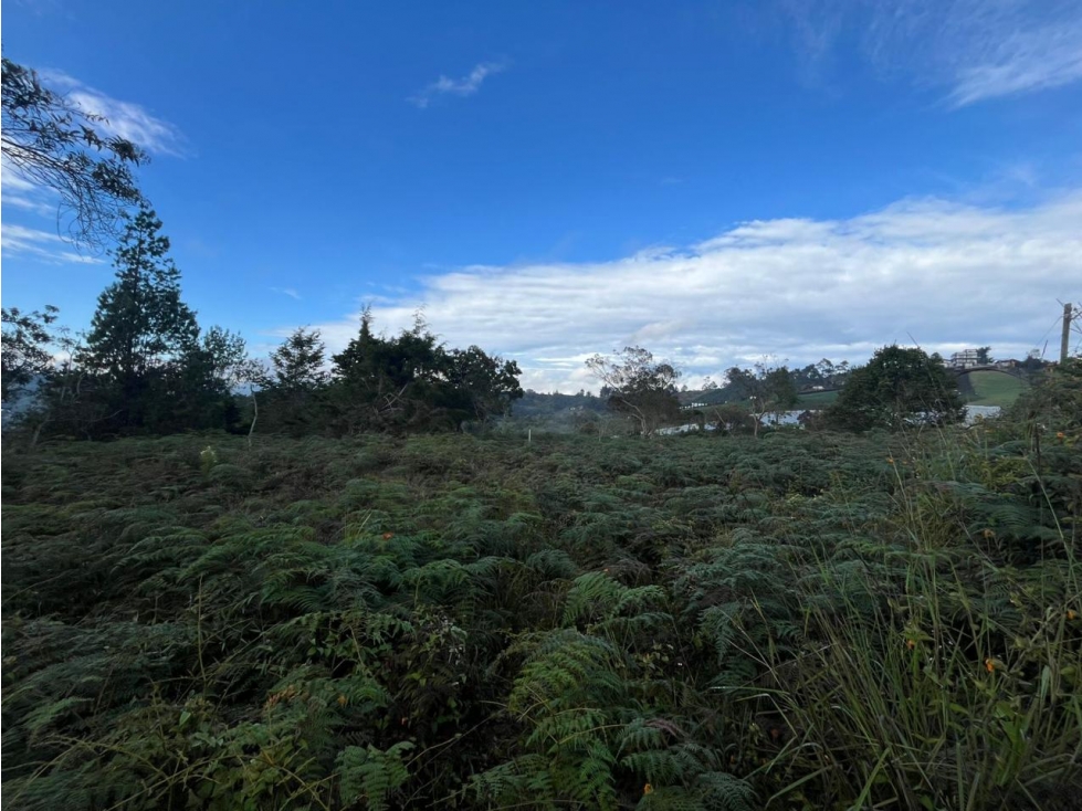LINDOS LOTES EN VENTA GUARNE EN PROINDIVISO — foto 2