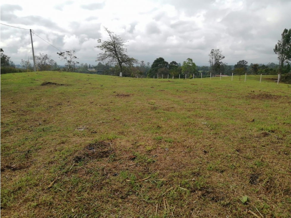 ENCANTADOR LOTE EN VENTA SAN VICENTE