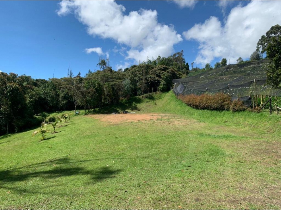 ENCANTADOR LOTE EN VENTA EL CARMEN DE VIBORAL SECTOR CANADA — foto 4