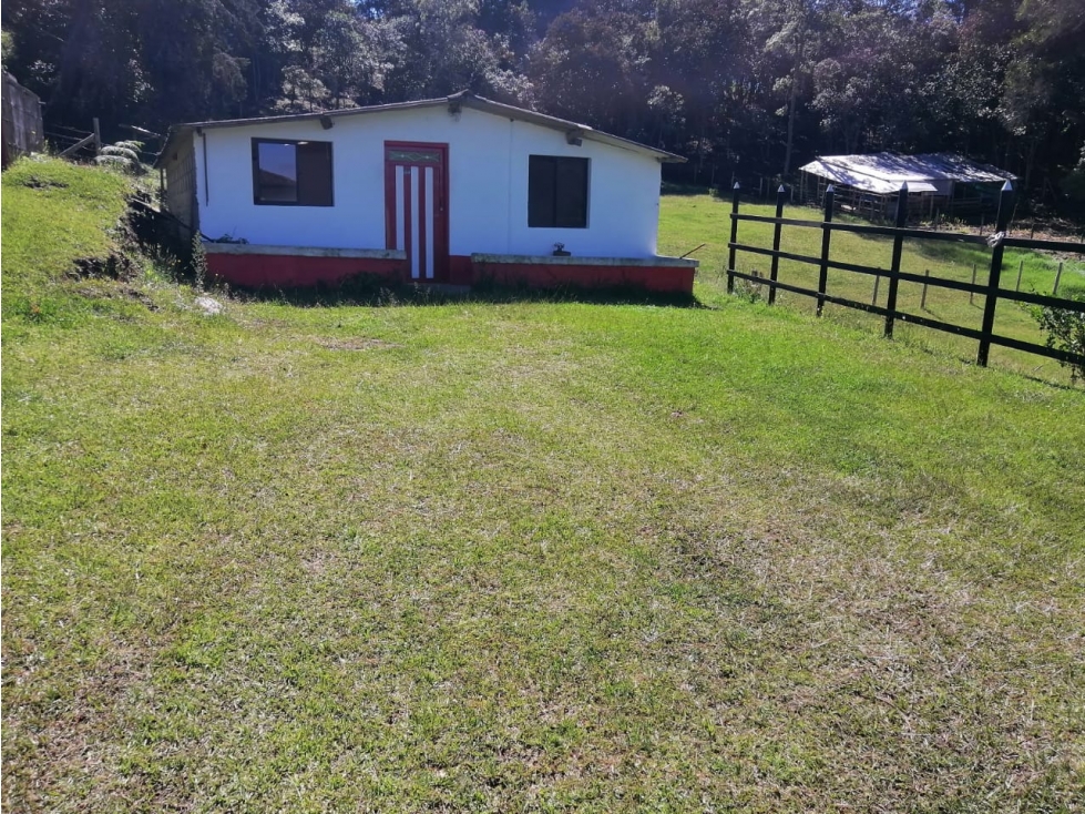 LINDA CASA FINCA EN VENTA GUARNE