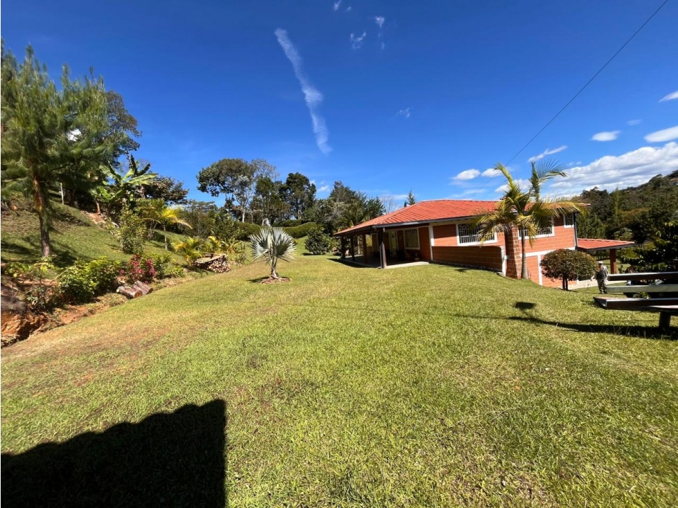 ENCANTADORA FINCA EN VENTA GUARNE — foto 5