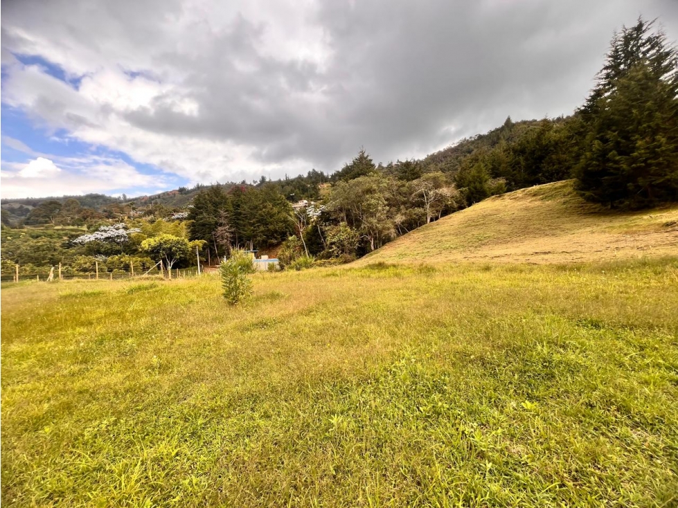 LINDOS LOTES EN VENTA EN LA VEREDA LA CLARA