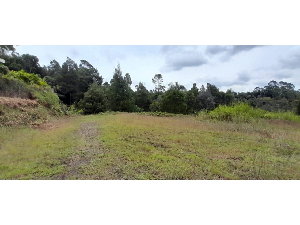 ENCANTADOR LOTE EN VENTA RIONEGRO