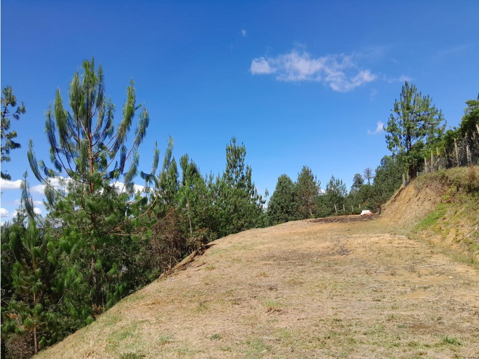 HERMOSO LOTE EN VENTA GUARNE