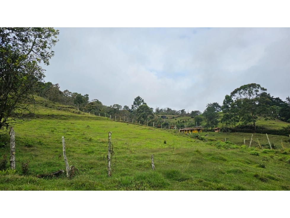 ENCANTADOR LOTE EN VENTA GUARNE PARA PROYECTO AGROPECUARIO
