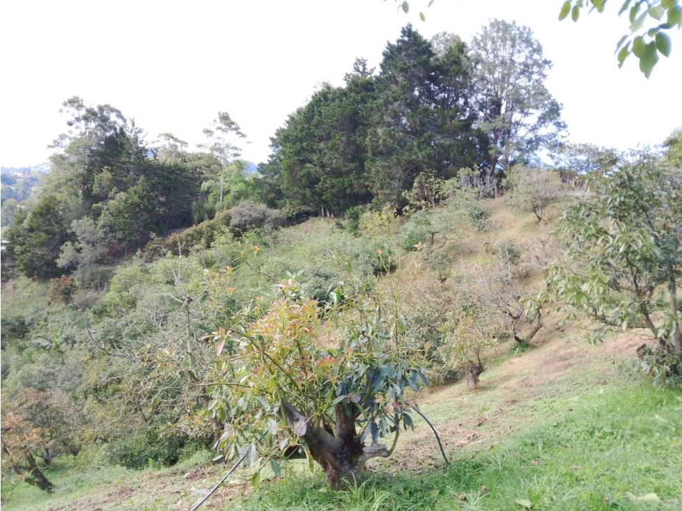 ENCANTADORA FINCA EN VENTA GUARNE PARA PROYECTO PARCELACIÓN