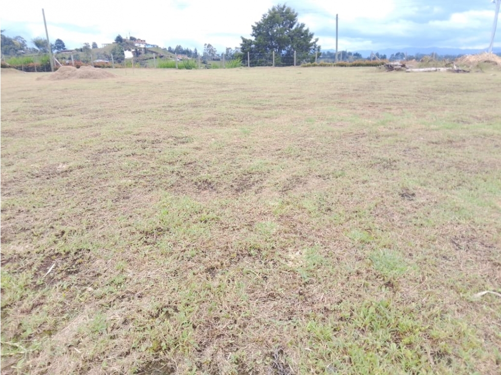 ENCANTADOR LOTE EN VENTA EN GUARNE ANTIOQUIA. — foto 5
