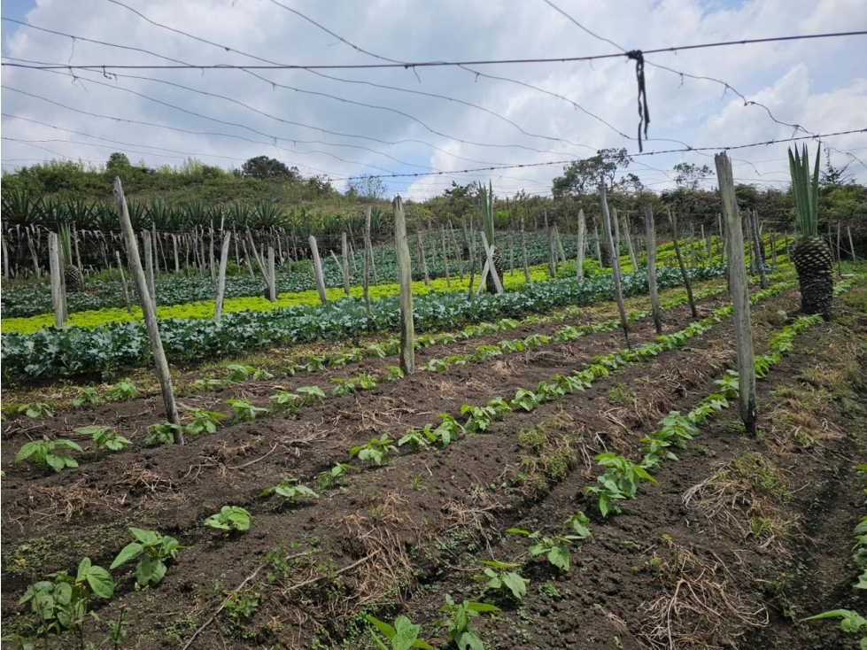 ENCANTADOR LOTE EN VENTA APROVECHABLE PARA SUBDIVISIÓN SAN VICENTE