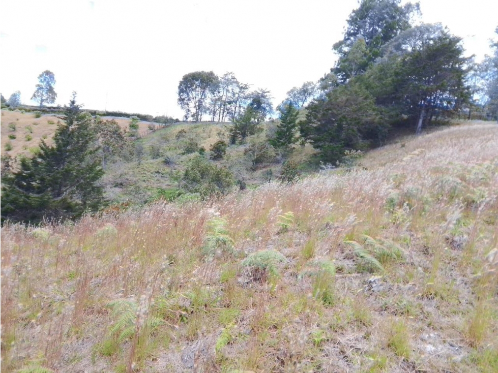 ENCANTADOR LOTE EN VENTA PARA PROYECTO DE SUBDIVISIÓN SAN VICENTE — foto 5