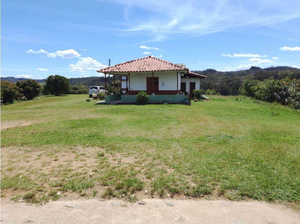 ESPECTACULAR FINCA PRODUCTIVA EN VENTA SAN VICENTE — foto 2