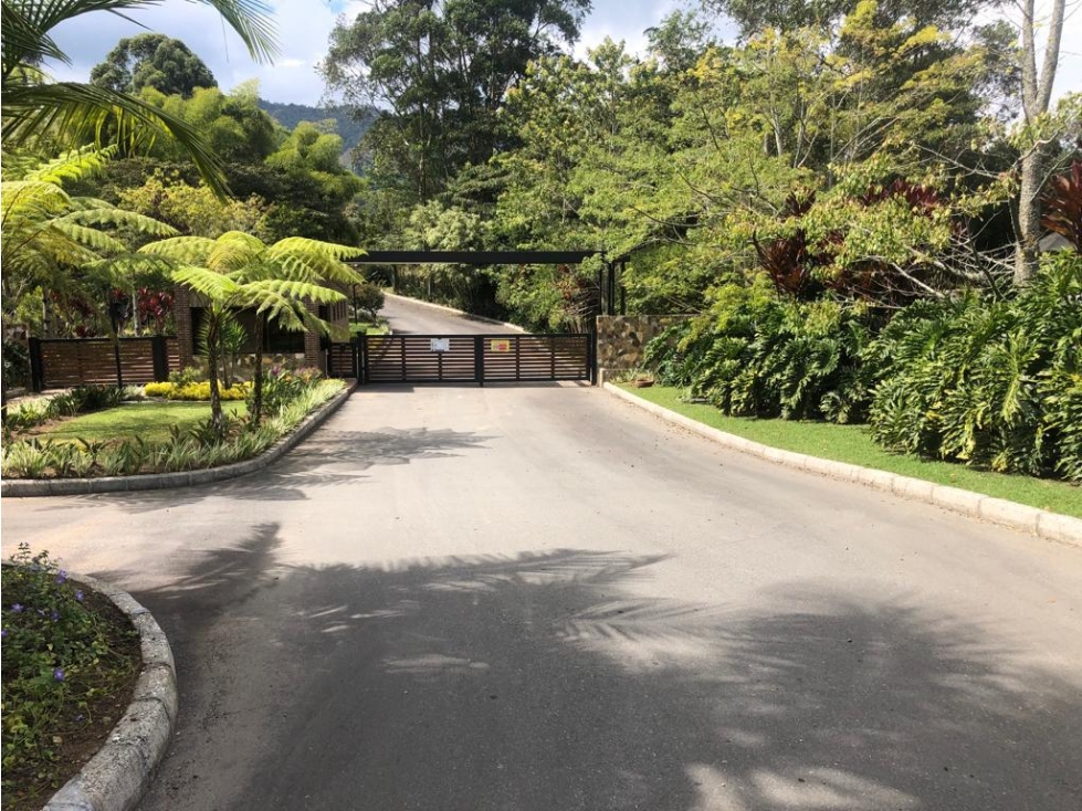 ENCANTADOR LOTE EN VENTA LA CEJA