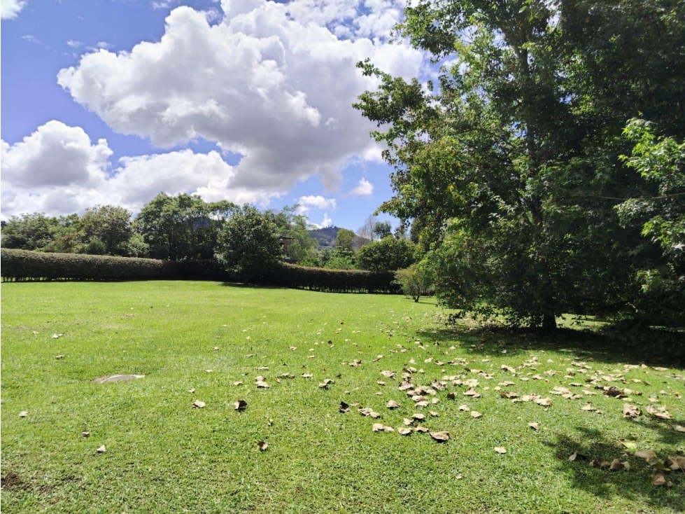 ESPECTACULAR LOTE EN VENTA LA CEJA