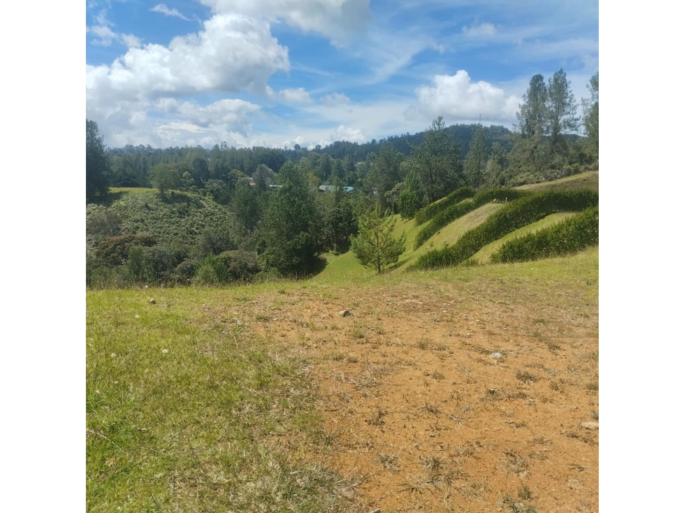 HERMOSO LOTE EN VENTA ALTO DE PALMAS — foto 2