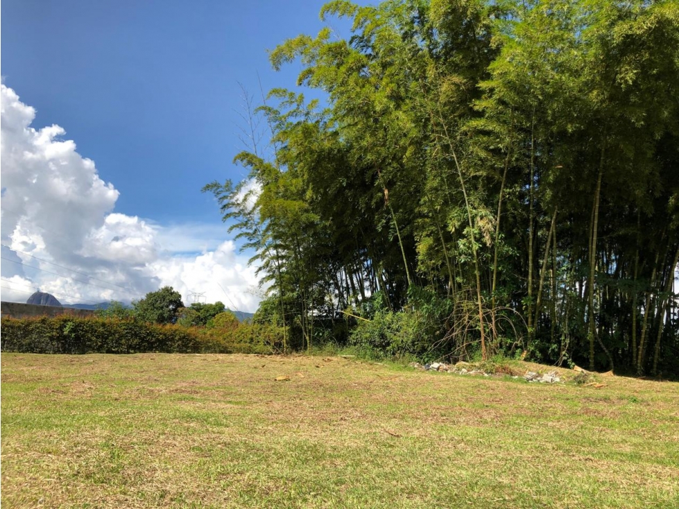 ENCANTADORA FINCA EN VENTA EL PEÑOL TOPOGRAFIA PLANA - 2