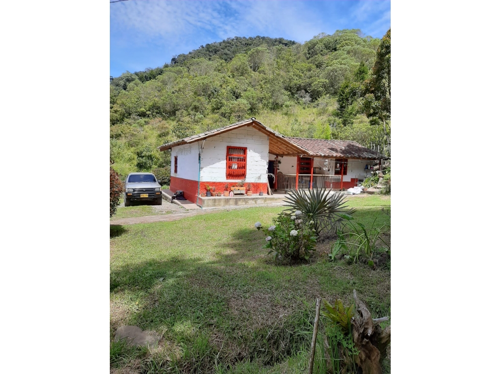 LINDA CASA FINCA TRADICIONAL EN VENTA CARMEN DE VIBORAL — foto 2