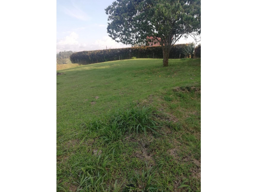 ENCANTADOR LOTE EN VENTA SAN VICENTE CERCA A LA AUTOPISTA — foto 6
