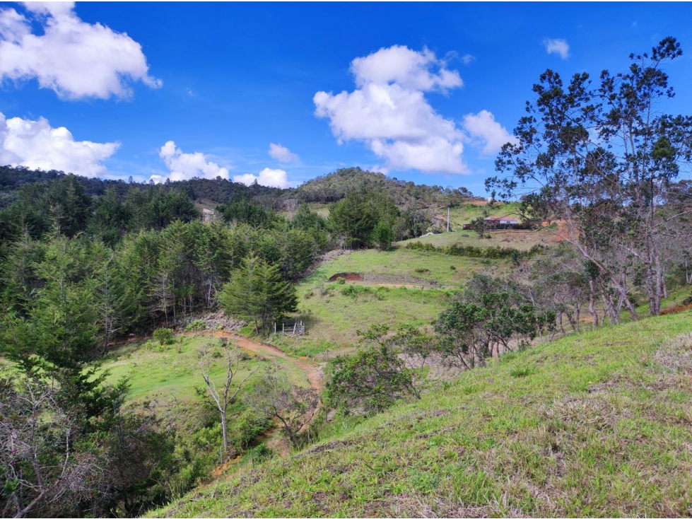 ENCANTADOR LOTE EN VENTA SAN VICENTE