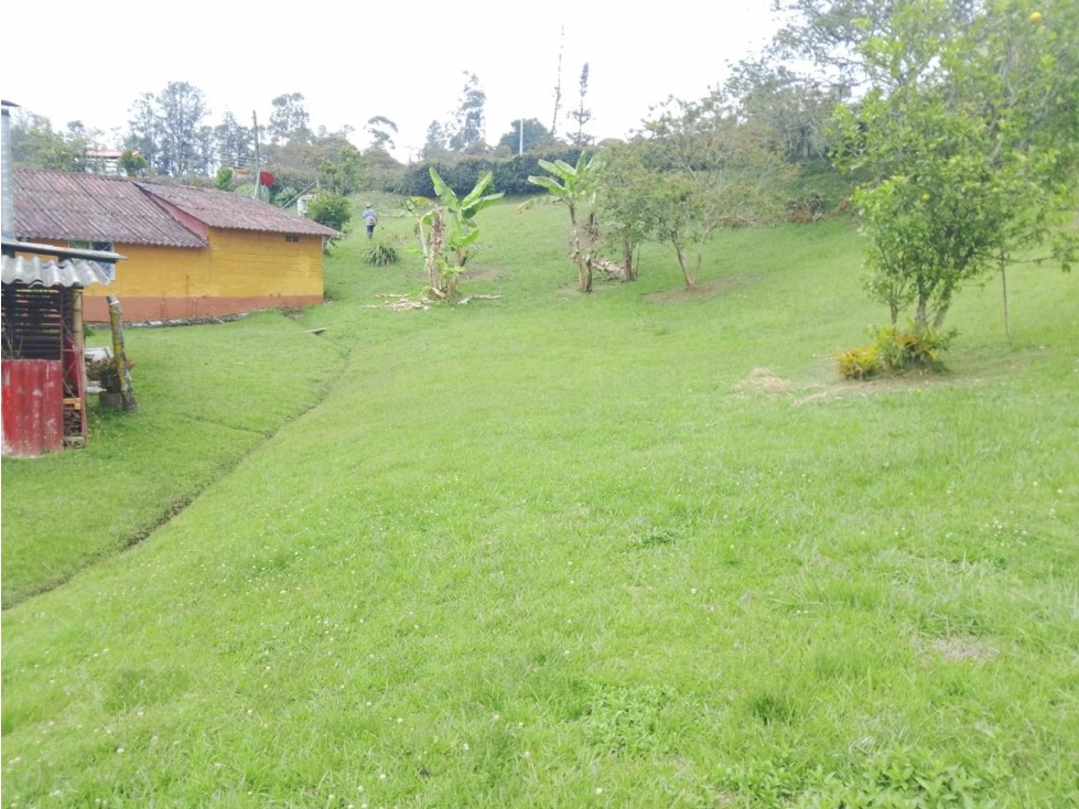 HERMOSA FINCA CAMPESINA EN VENTA EL SANTUARIO — foto 6