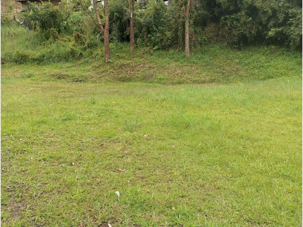 ENCANTADOR LOTE EN VENTA RIONEGRO