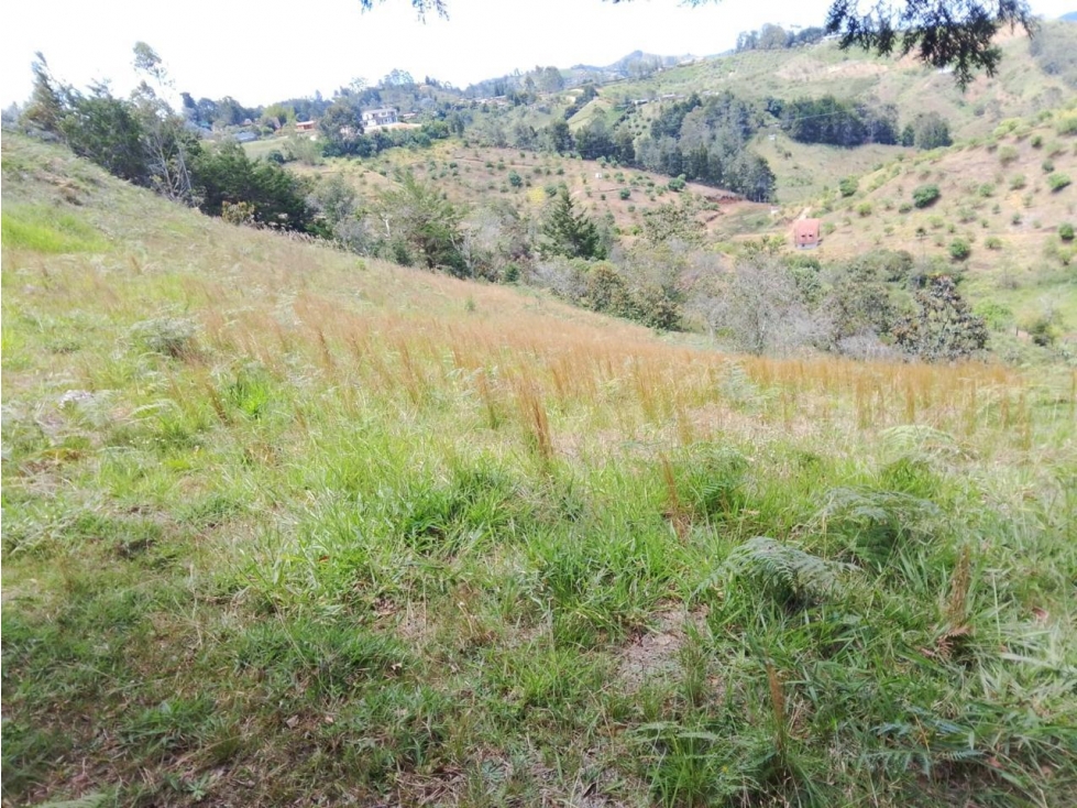 ENCANTADOR LOTE EN VENTA PARA PROYECTO DE SUBDIVISIÓN SAN VICENTE