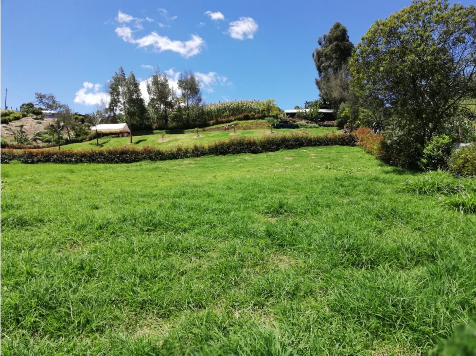 GRAN OPORTUNIDIDAD LOTE EN VENTA EL CARMEN DE VIBORAL - 2