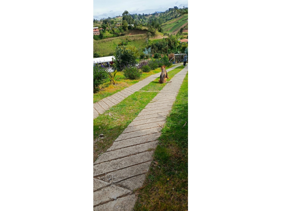 ESPECTACULAR FINCA EN VENTA EN SAN VICENTE FERRER - 4