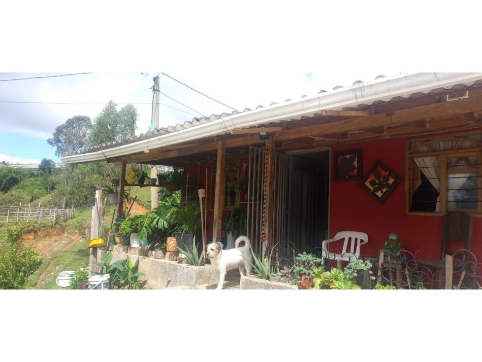 LINDA FINCA EN VENTA MARINILLA-ANTIOQUIA — foto 5