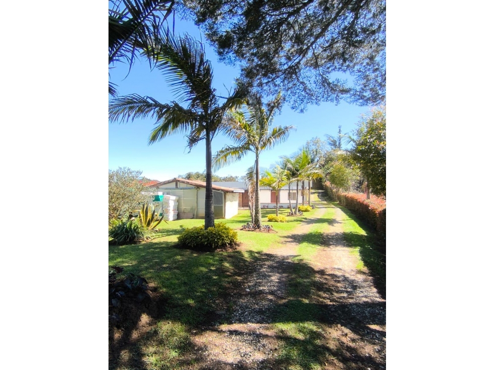 ENCANTADORA FINCA EN VENTA LA CEJA-ANTIOQUIA — foto 3