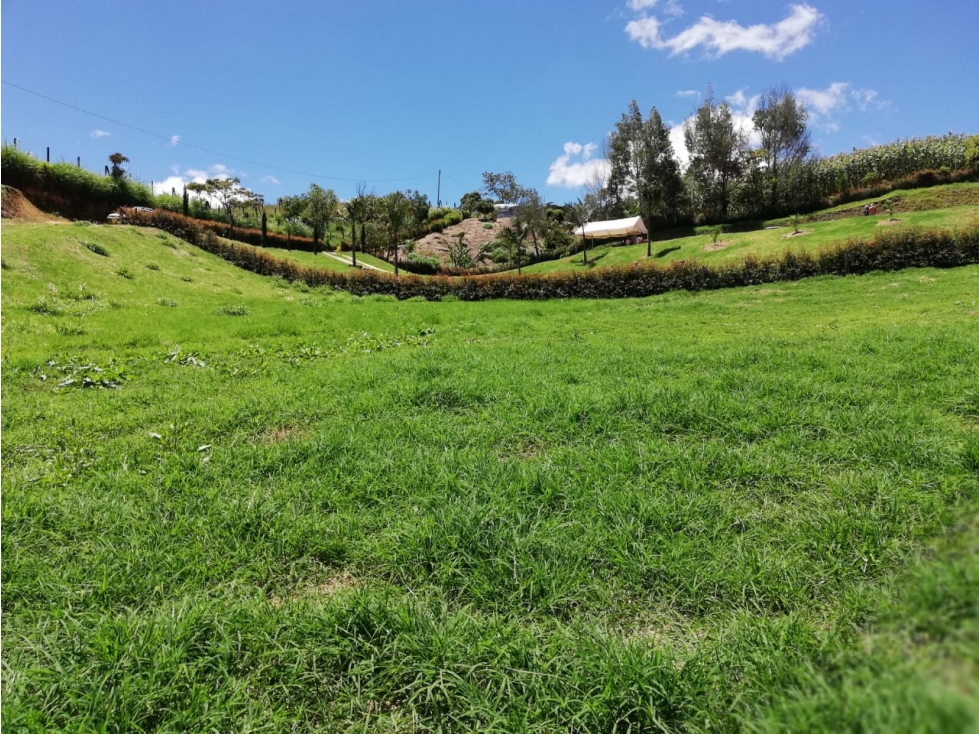 GRAN OPORTUNIDIDAD LOTE EN VENTA EL CARMEN DE VIBORAL - 1