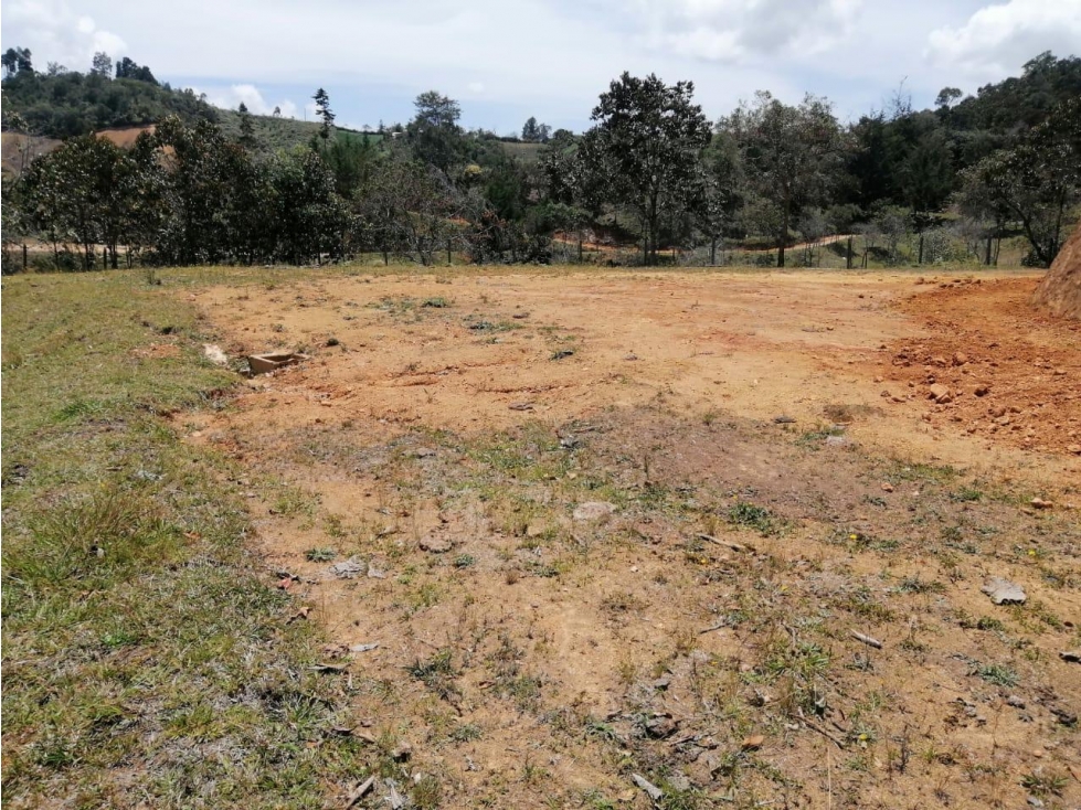 ENCANTADORES LOTES EN VENTA SAN VICENTE CON AGUA Y BOSQUE — foto 3