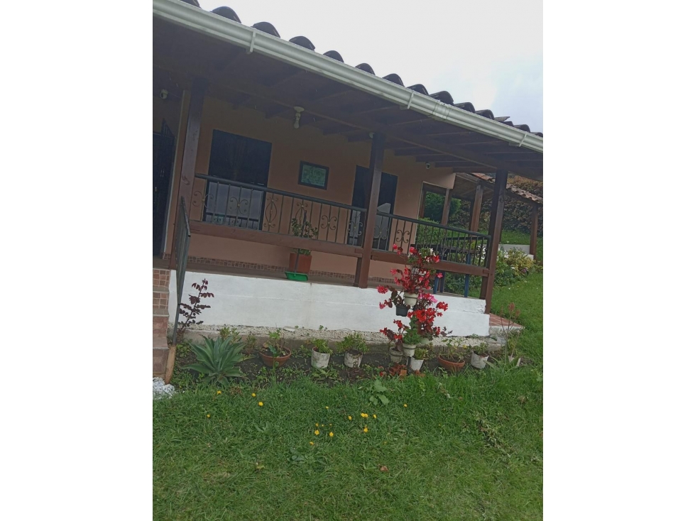 ENCANTADORA FINCA EN VENTA GUARNE — foto 4
