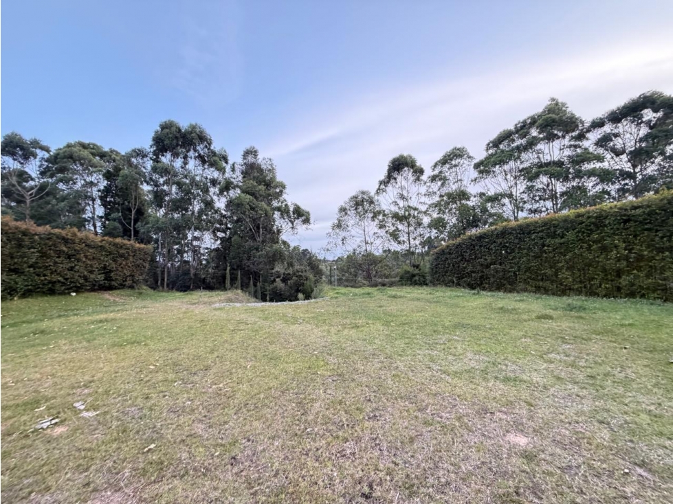 ÚNICOS LOTES EN VENTA DENTRO DE UNA GRAN AGRO PARCELACIÓN RIONEGRO — foto 5