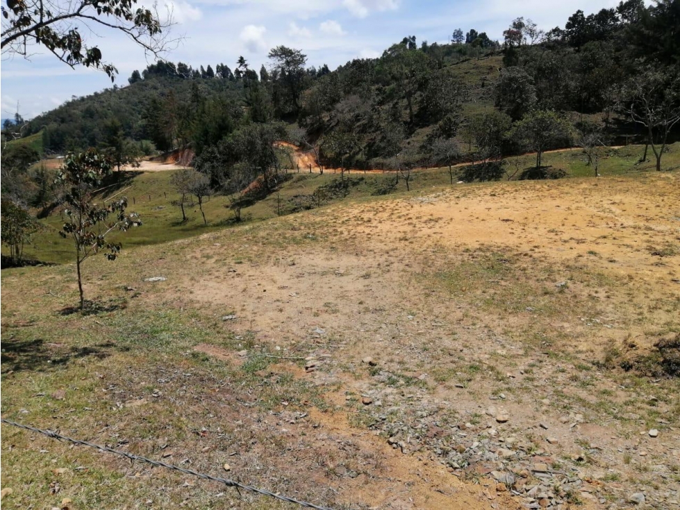 ENCANTADORES LOTES EN VENTA SAN VICENTE CON AGUA Y BOSQUE — foto 4