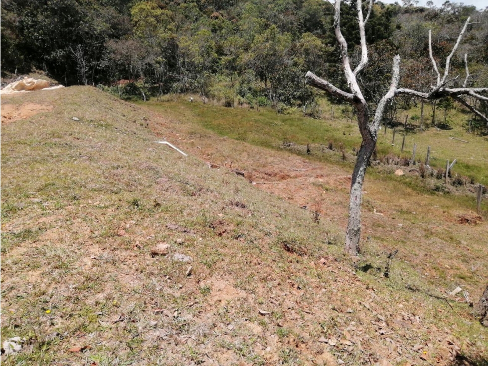 ENCANTADORES LOTES EN VENTA SAN VICENTE CON AGUA Y BOSQUE — foto 5
