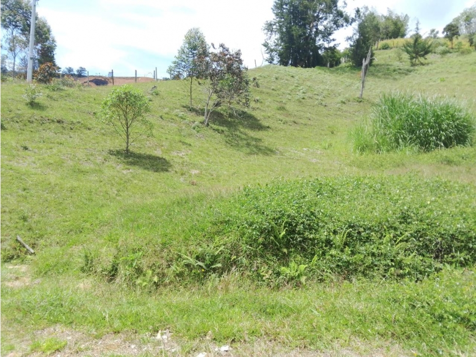 HERMOSA FINCA CAMPESINA EN VENTA SAN VICENTE — foto 6