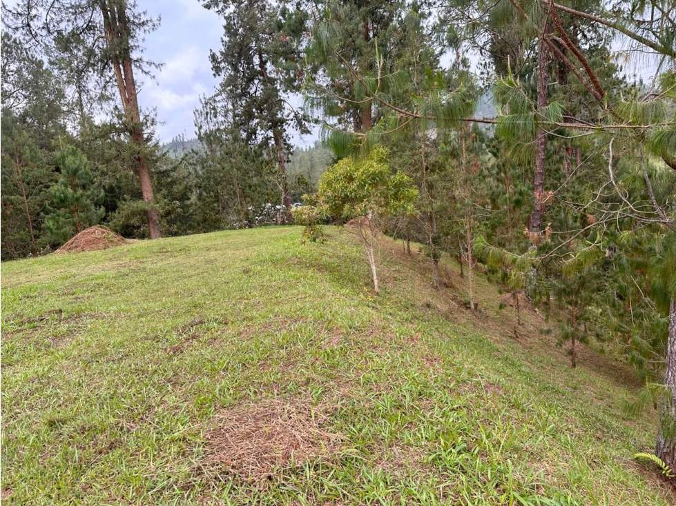 ENCANTADOR LOTE EN VENTA EN PRESTIGIOSA PARCELA EL RETIRO — foto 3